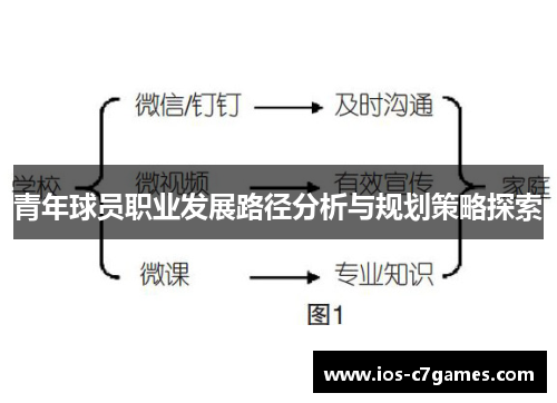 青年球员职业发展路径分析与规划策略探索